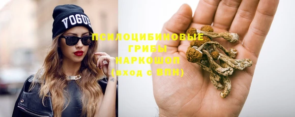 не бодяженный Абдулино