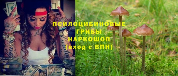 прущий лед Абаза