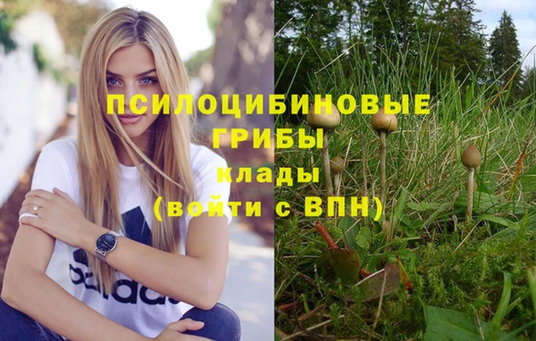 ГАЛЛЮЦИНОГЕННЫЕ ГРИБЫ Лагань