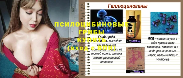 ПСИЛОЦИБИНОВЫЕ ГРИБЫ Абинск