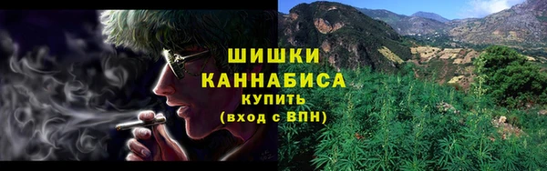 ГАЛЛЮЦИНОГЕННЫЕ ГРИБЫ Лагань