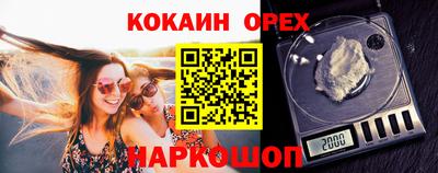 гидра Боровичи