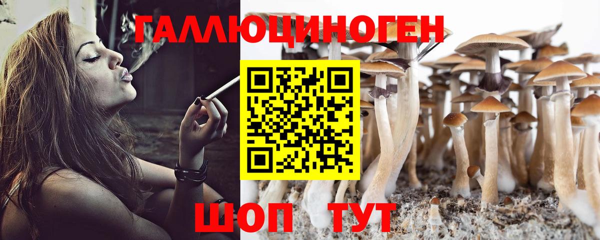 где продают   Галлюциногенные грибы Magic Shrooms  Вход с VPN  Таганрог 